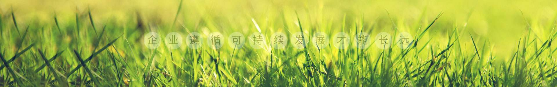 万搏网页版